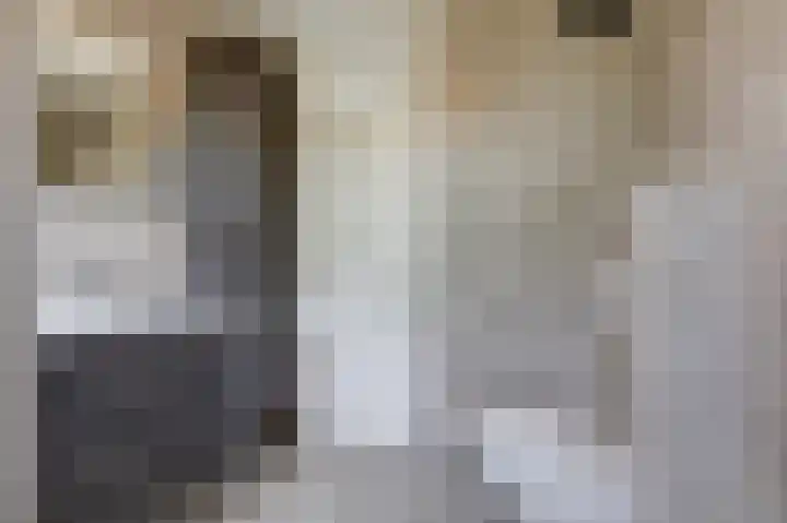 Schapenweide 97 Duiven thumbnail 37