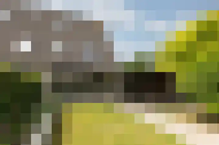 Schapenweide 97 Duiven thumbnail 44