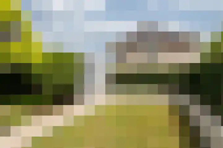 Schapenweide 97 Duiven thumbnail 47