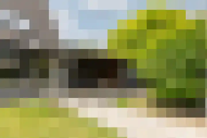 Schapenweide 97 Duiven thumbnail 49