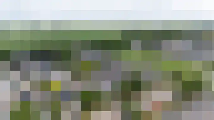 Schapenweide 97 Duiven thumbnail 5