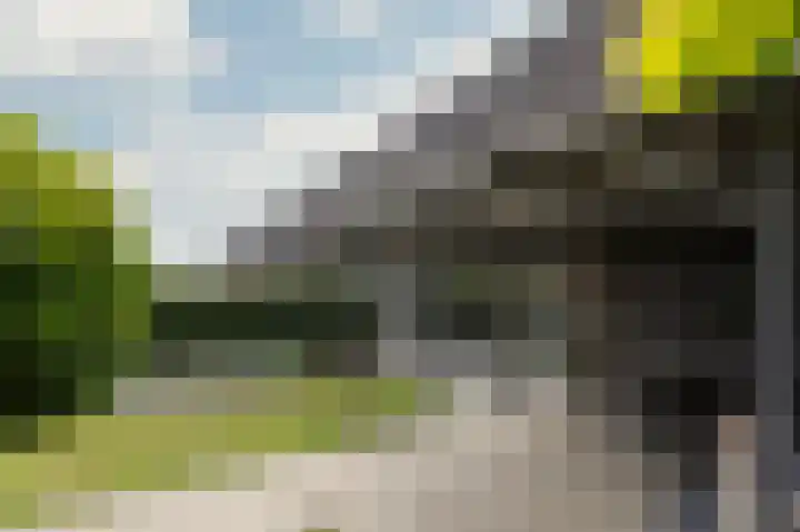Schapenweide 97 Duiven thumbnail 52