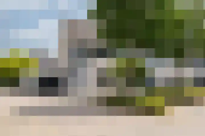 Schapenweide 97 Duiven thumbnail 56