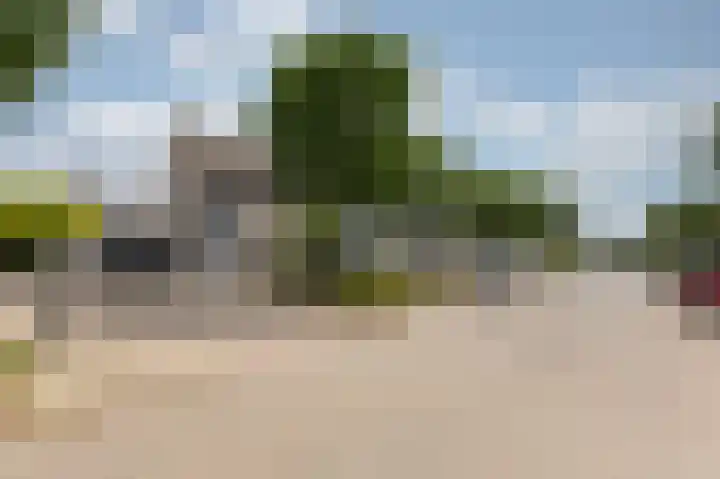 Schapenweide 97 Duiven thumbnail 57