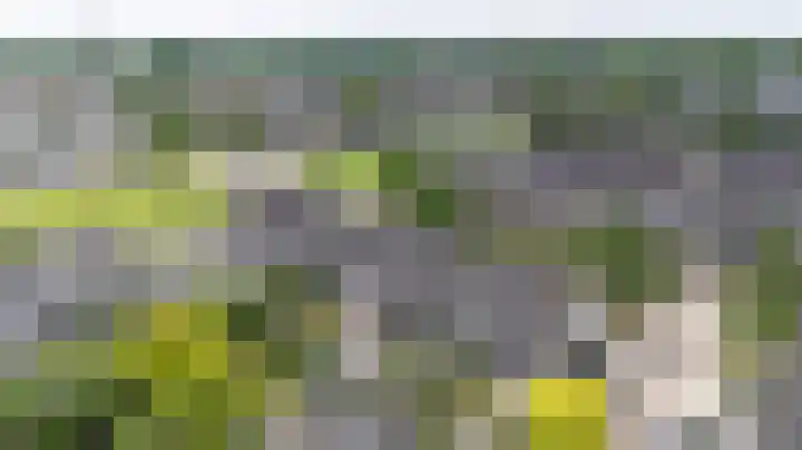 Schapenweide 97 Duiven thumbnail 60