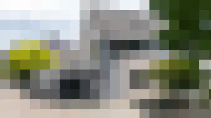 Schapenweide 97 Duiven thumbnail 66