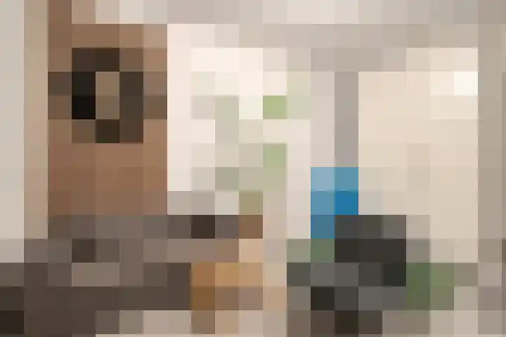 Schaperstraat 12 Meppel thumbnail 30