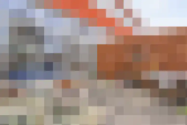 Schaperstraat 12 Meppel thumbnail 32