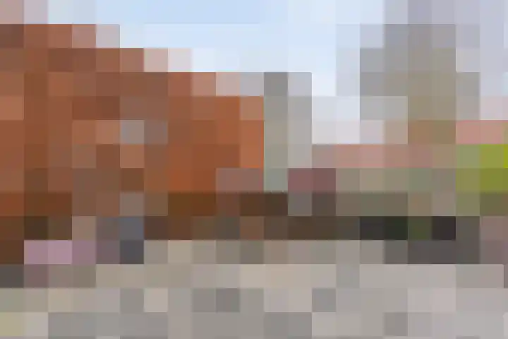 Schaperstraat 12 Meppel thumbnail 33