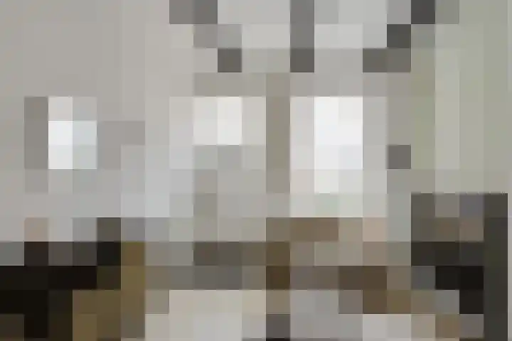 Schapesteeg 13 Elburg thumbnail 10
