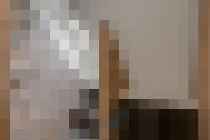 Schapesteeg 13 Elburg thumbnail 21