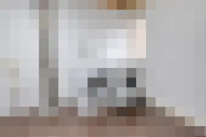 Schapeweide 23 Veghel thumbnail 41
