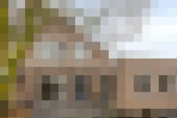 Schapeweide 23 Veghel thumbnail 42