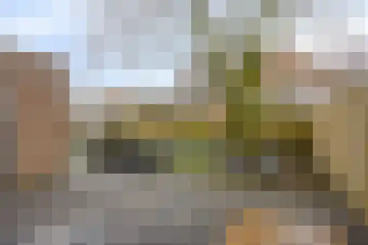 Schapeweide 23 Veghel thumbnail 43