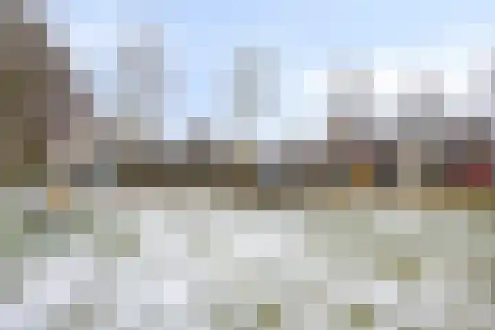 Schapeweide 23 Veghel thumbnail 47