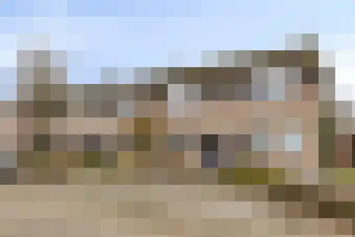 Schapeweide 41 Veghel thumbnail 37