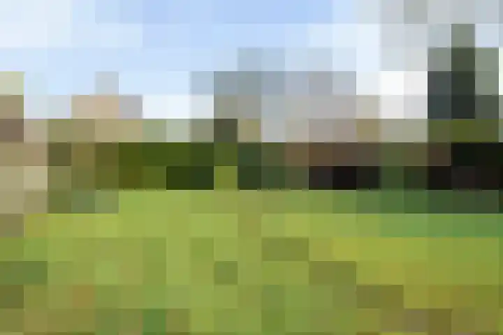 Schapeweide 41 Veghel thumbnail 39