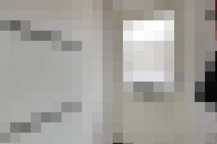 Schapeweide 41 Veghel thumbnail 4