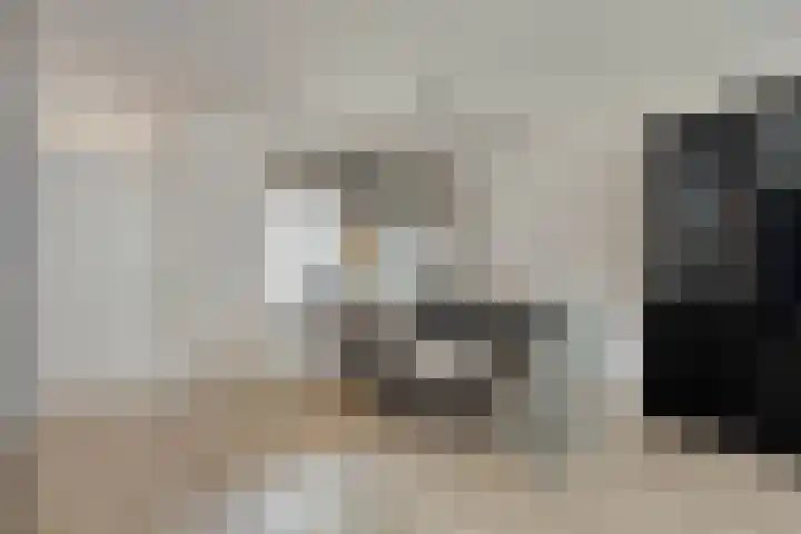 Schapeweide 41 Veghel thumbnail 9