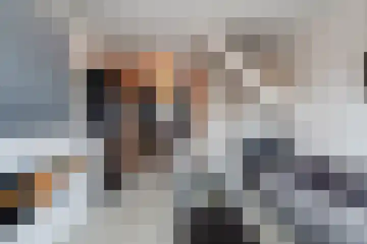 Scharlo 16 Alkmaar thumbnail 11