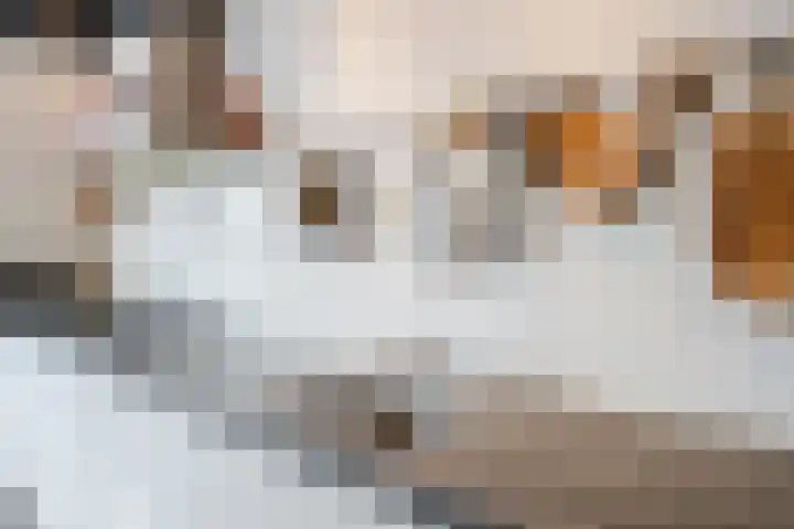 Scharlo 16 Alkmaar thumbnail 14