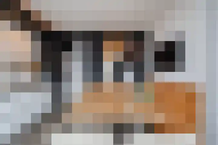 Scharlo 16 Alkmaar thumbnail 16