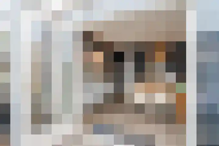 Scharlo 16 Alkmaar thumbnail 19
