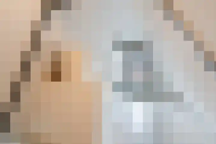 Scharlo 16 Alkmaar thumbnail 25