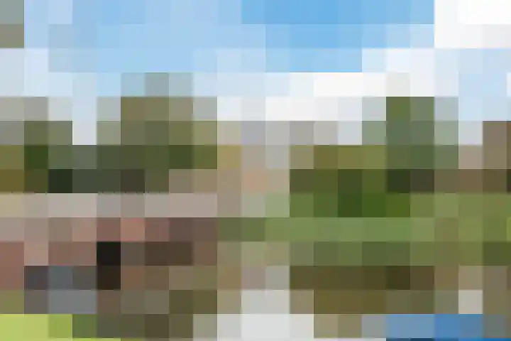 Scharlo 16 Alkmaar thumbnail 29