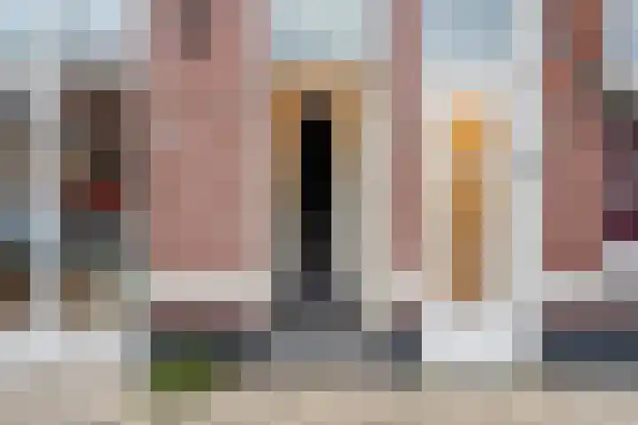 Scharlo 16 Alkmaar thumbnail 8