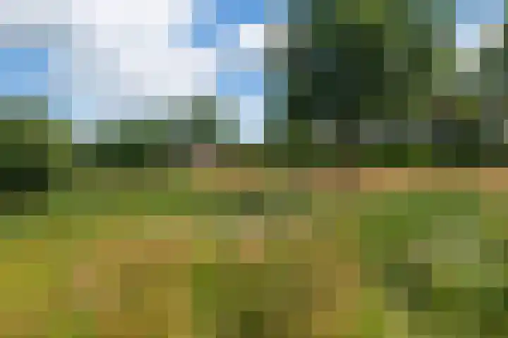 Scharmbarg 191 Assen thumbnail 18