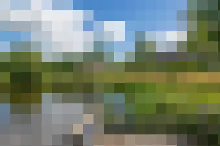 Scharmbarg 191 Assen thumbnail 19