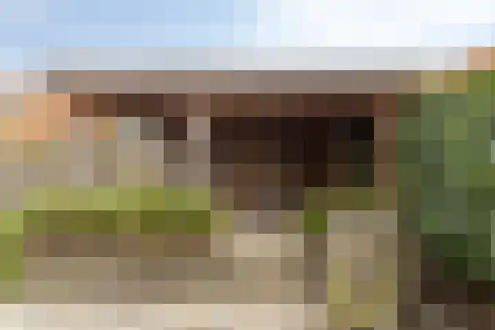 Scharreweersterweg 37 Appingedam thumbnail 38