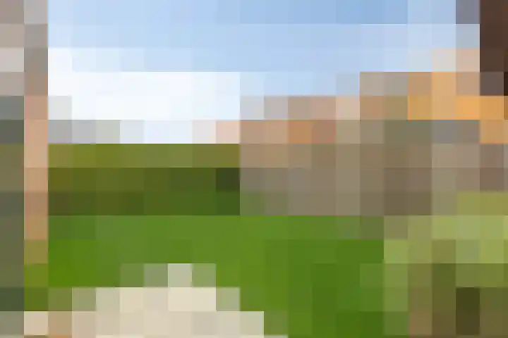 Scharreweersterweg 37 Appingedam thumbnail 41