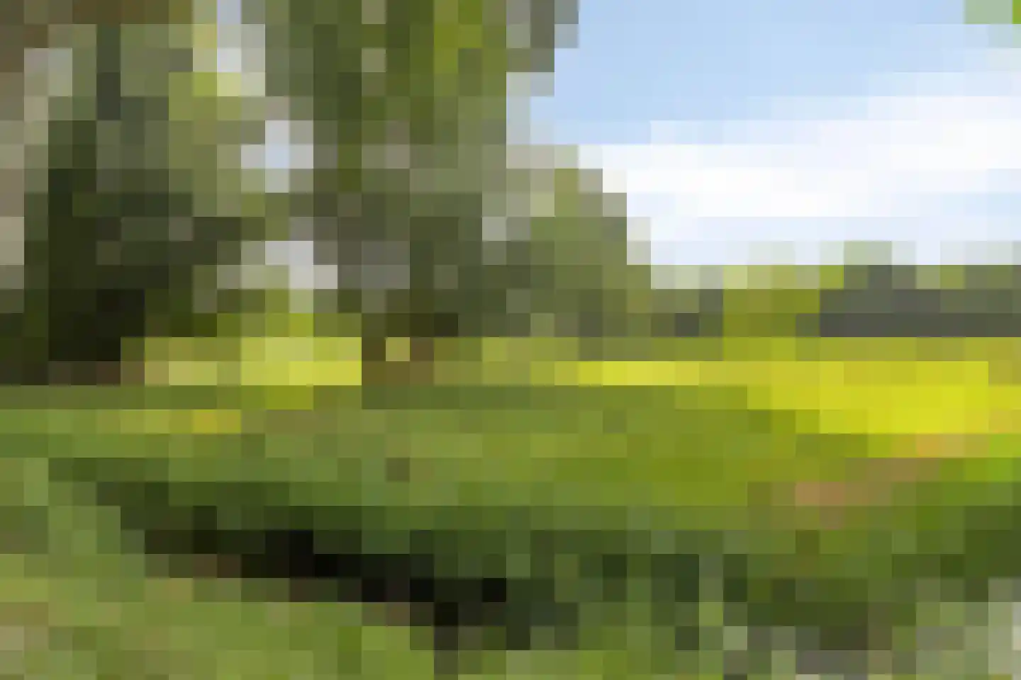 Scharwoude 26 Scharwoude thumbnail 29