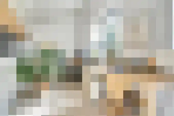 Schaterland 12 Ellecom thumbnail 11