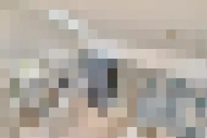 Schaterland 12 Ellecom thumbnail 12