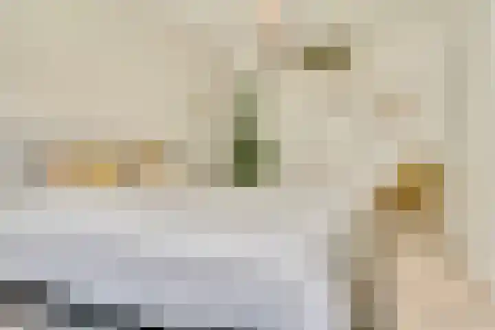 Schaterland 12 Ellecom thumbnail 15