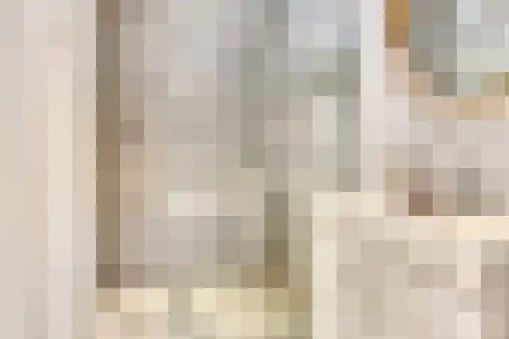 Schaterland 12 Ellecom thumbnail 19