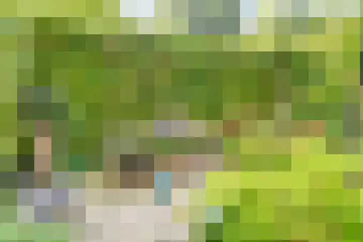 Schaterland 12 Ellecom thumbnail 23