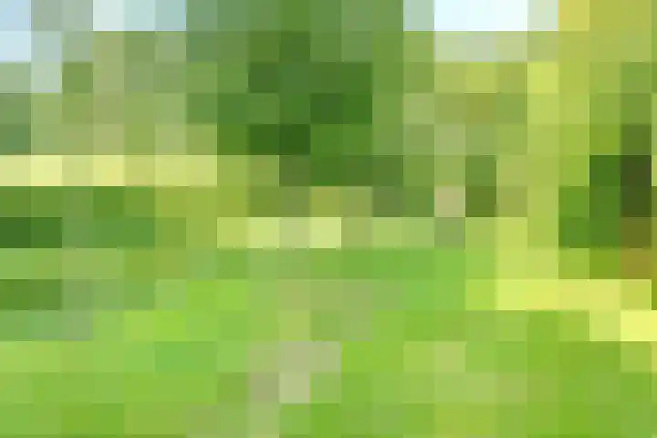 Schaterland 12 Ellecom thumbnail 24