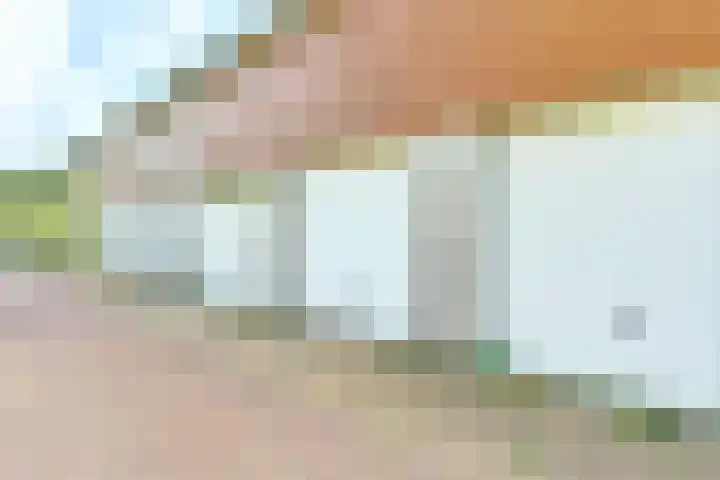 Schaterland 12 Ellecom thumbnail 25