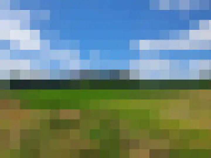 Schaterland 12 Ellecom thumbnail 28