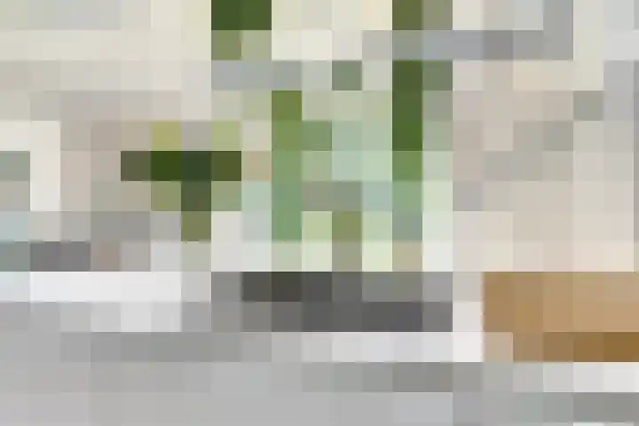 Schaterland 12 Ellecom thumbnail 8