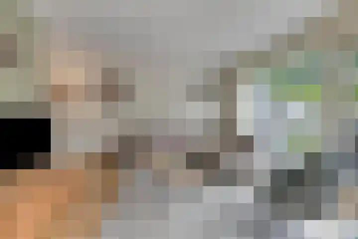 Schaterland 7 Ellecom thumbnail 13