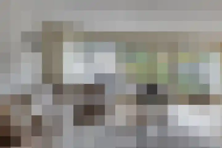 Schaterland 7 Ellecom thumbnail 14