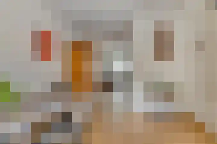 Schaterland 7 Ellecom thumbnail 18