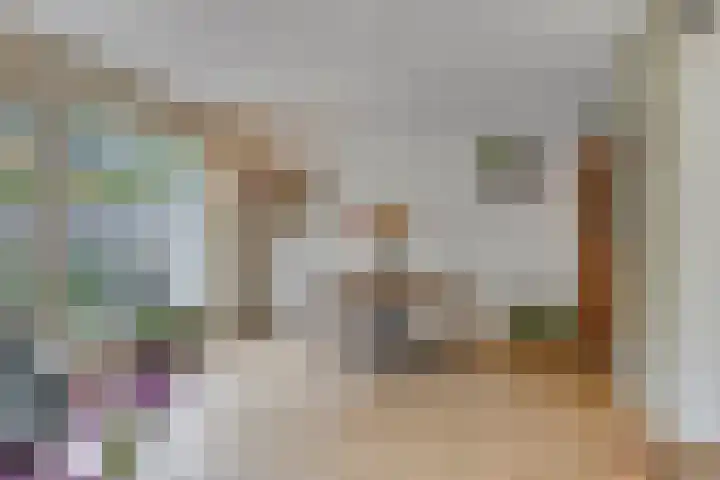Schaterland 7 Ellecom thumbnail 19