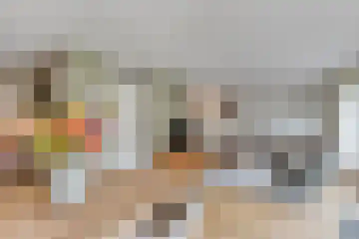 Schaterland 7 Ellecom thumbnail 20