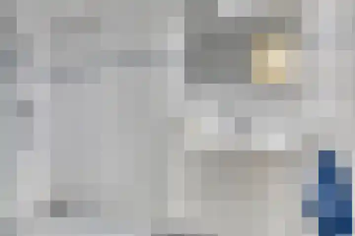 Schaterland 7 Ellecom thumbnail 31